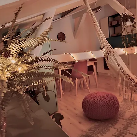 Gemuetliche Fachwerkwohnung Mit Haengematte, Elbnah 300m *